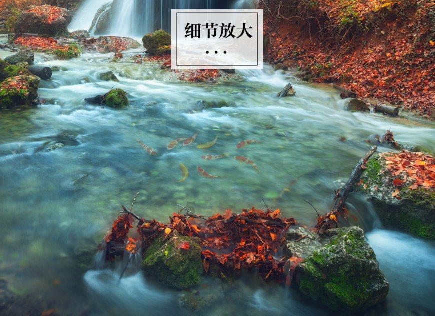哈理工最红讲师王晓琮:14岁上北大,教学40年至今仍没有评职称